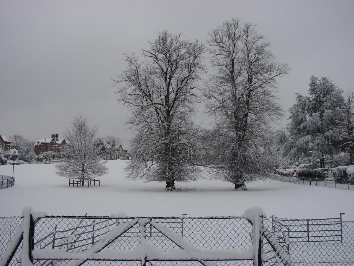 The Waltons Bed & Breakfast Доркинг Екстериор снимка